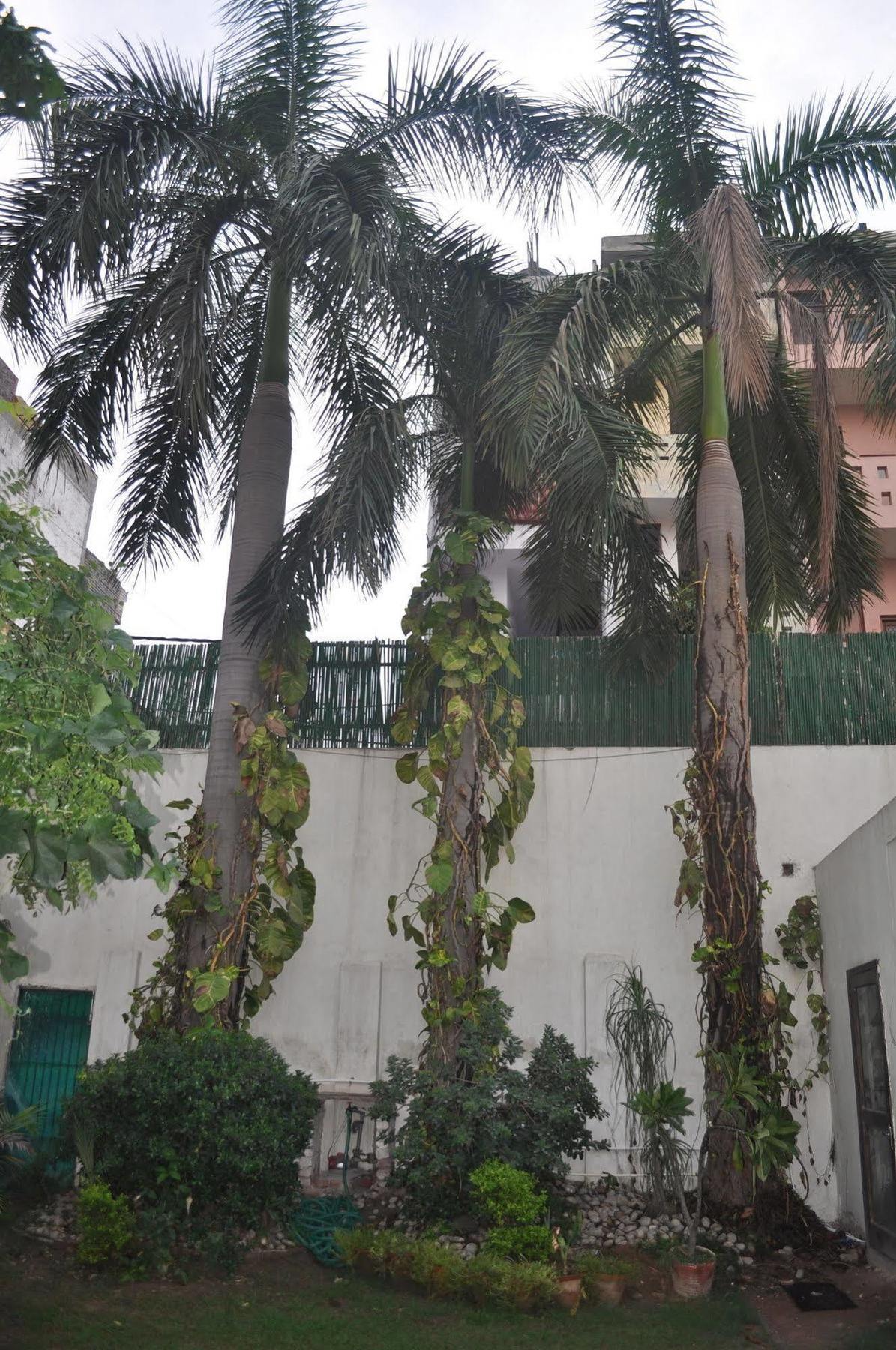 Hotel Kabli New Delhi Luaran gambar