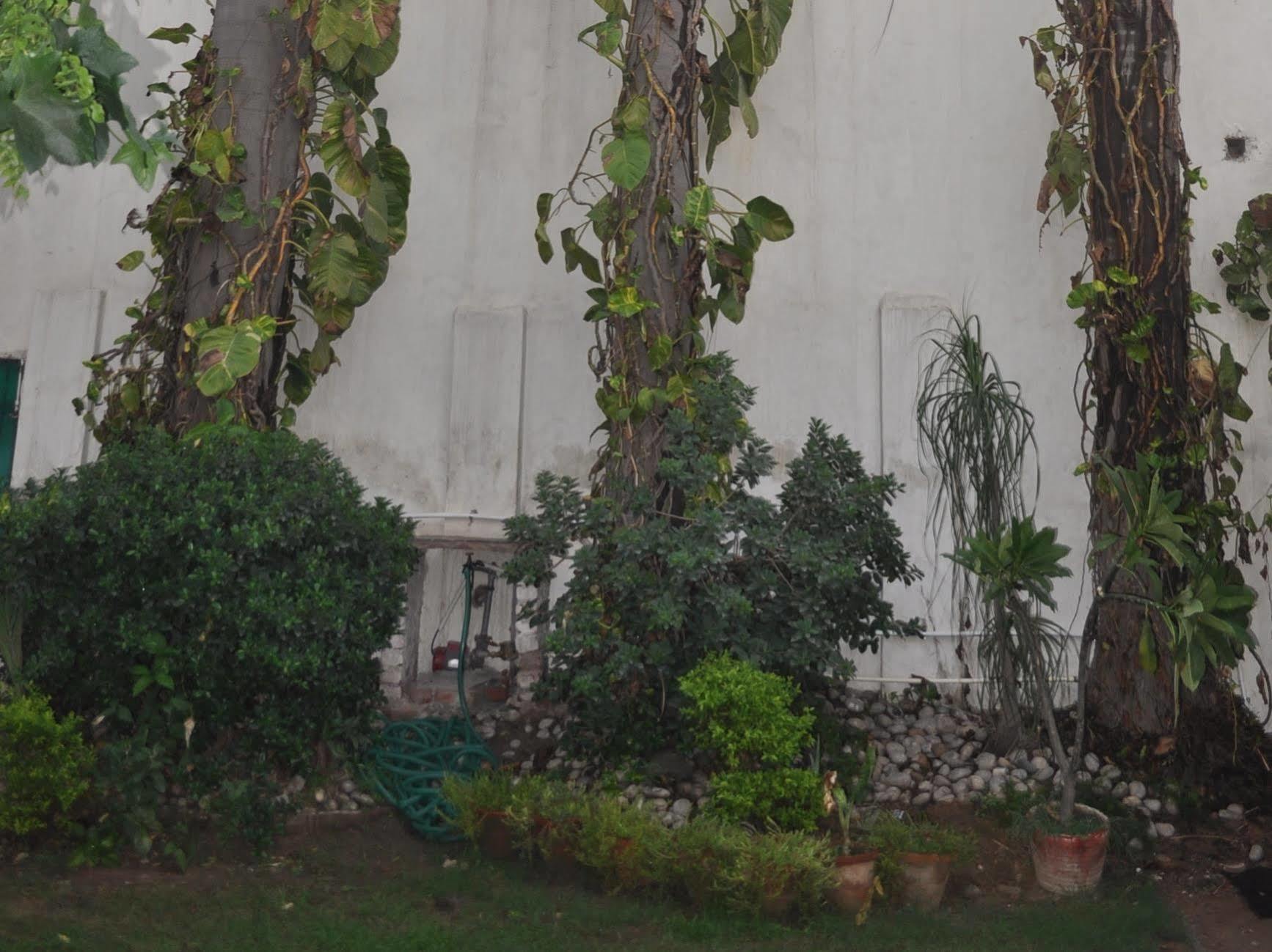 Hotel Kabli New Delhi Luaran gambar